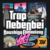 TRAP NEBENBEI, VOL. 1 artwork