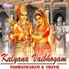 A. V. Packrisamy - Gnana Vinayagane (Instrumental)