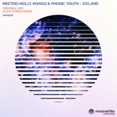 Iceland (Alex O'Rion Remix) artwork