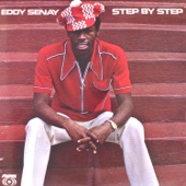 Eddy Senay - Shakedown