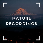 Natural Recordings of Green artwork