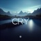 Cry (Extended Mix) artwork