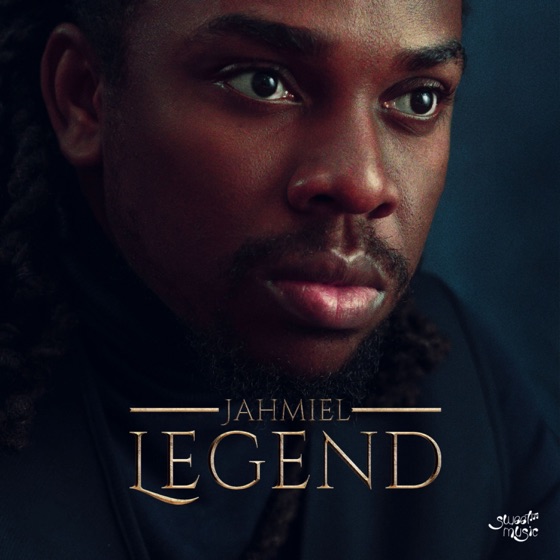 Cover artwork for Irreplaceable