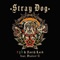 Stray Dog (feat. Dialect-Z) - rgb & nørth_lord lyrics