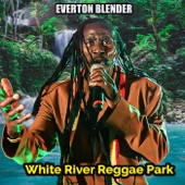 White River Reggae Bash (Live) artwork