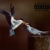 xxBIRDSxx - Single