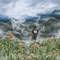 gotta love tree (feat. Liteease) - Cloudboy lyrics