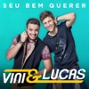 Seu Bem Querer (Ao Vivo) - Single