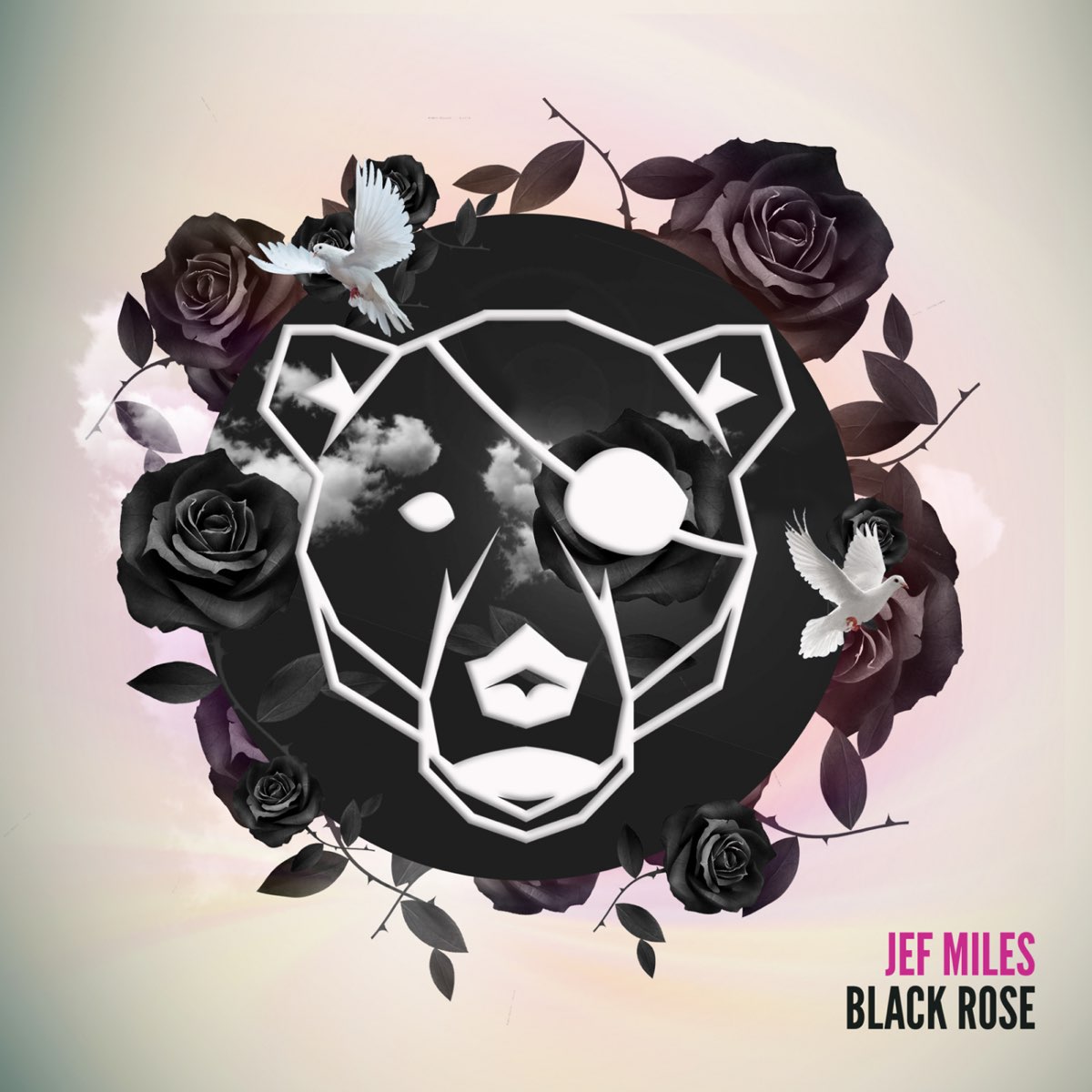 Rasmus Black Roses обложка альбома. Rose Cover Black. Jefs Original Mix. Miles the Black one.