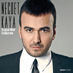 Necdet Kaya - Yarim Senden Ayrılalı