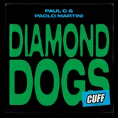 Paul C - Diamond Dogs (Original Mix)