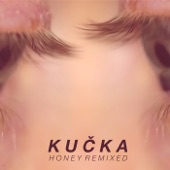 Honey (Medasin Remix) artwork