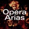 Turandot, SC 91, Act I: Signore ascolta! (Liù) - Kent Nagano, Dame Kiri Te Kanawa & Orchestre de l'Opéra de Lyon lyrics