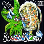 Ese 40'z - Not Working Out