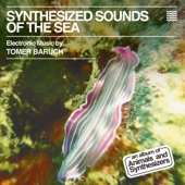Tomer Baruch - The Cyanea Jellyfish
