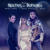 Esas Noches De Bohemia artwork