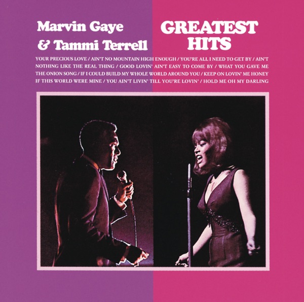 Greatest Hits - Marvin Gaye & Tammi Terrell