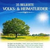 35 beliebte Volks- & Heimatlieder artwork