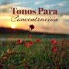 Relajación - Tonos Para Concentración