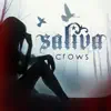 Crows - Single album lyrics, reviews, download