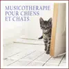 Musicothérapie pour chiens et chats album lyrics, reviews, download