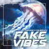 Fake Vibes song lyrics