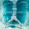What Is Hip? (feat. Andy Snitzer) - Terry Wollman lyrics