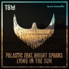 Lying In the Sun (feat. Bright Sparks) - Single