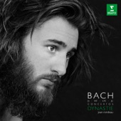 Dynastie - Bach Family Concertos artwork