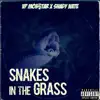 Stream & download Snakes In the Grass (feat. Shady Nate) [Remix] [Remix] - Single