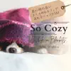 So Cozy:居心地の良いおしゃれなカフェで流れるジャズbgm - While in Blankets album lyrics, reviews, download