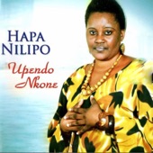 Hapa Nilipo artwork