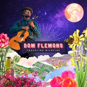 Dom Flemons - Old Desert Road