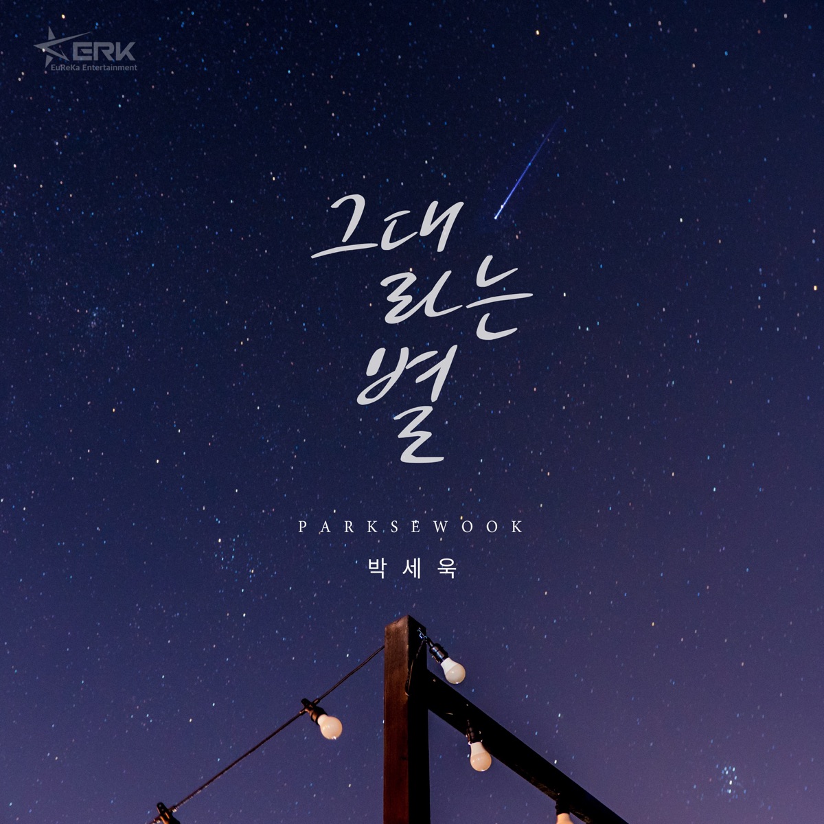 Park Se Wook – 바람의 유혹 (Original Television Sound Track) Pt. 4