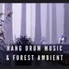 Hang Drum Music & Forest Ambient album lyrics, reviews, download