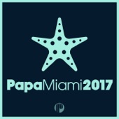 Papa Miami 2017 (DJ Mix) artwork
