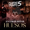 En los Puritos Huesos - Single