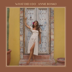 Annie Bosko - What Did I Do (feat. Raul Malo) - 排舞 音乐
