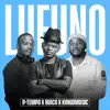 Lufuno - Single album lyrics, reviews, download