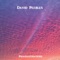 Solace (feat. Tony Franklin & Ed Roth) - David Peebles lyrics