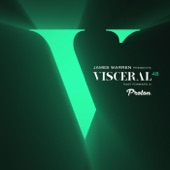 Visceral 048 - Past Forward IV artwork