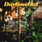The Perfect Remedy for Your Sleep - Daytime Owl lyrics