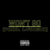 Won't Go - Single album lyrics, reviews, download