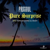Pure Surprise (feat. Howard Gomba & J-Smash) [Radio Edit] artwork