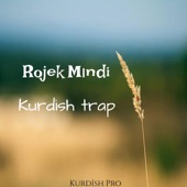 Rojek Mındi (Remix) artwork