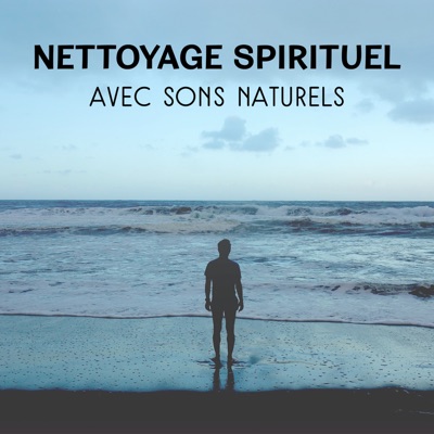 L Experience Sensuelle Pluie Printaniere Apaisante Nature Musique Oasis Shazam