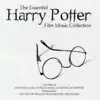 Hedwig's Theme (From "Harry Potter and the Philosopher's Stone") song lyrics