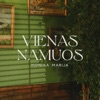 Vienas Namuos - Single