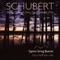String Quintet in C Major, D.956: II. Adagio artwork