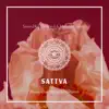 Sattva (Alexander Volosnikov Remix) song lyrics